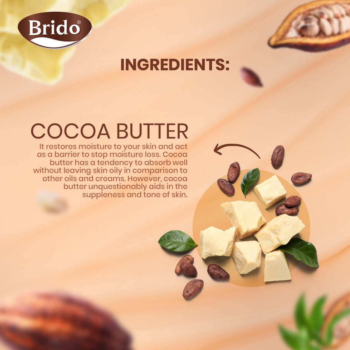 Cocoa Butter Body Lotion (Skin Glow with Care)