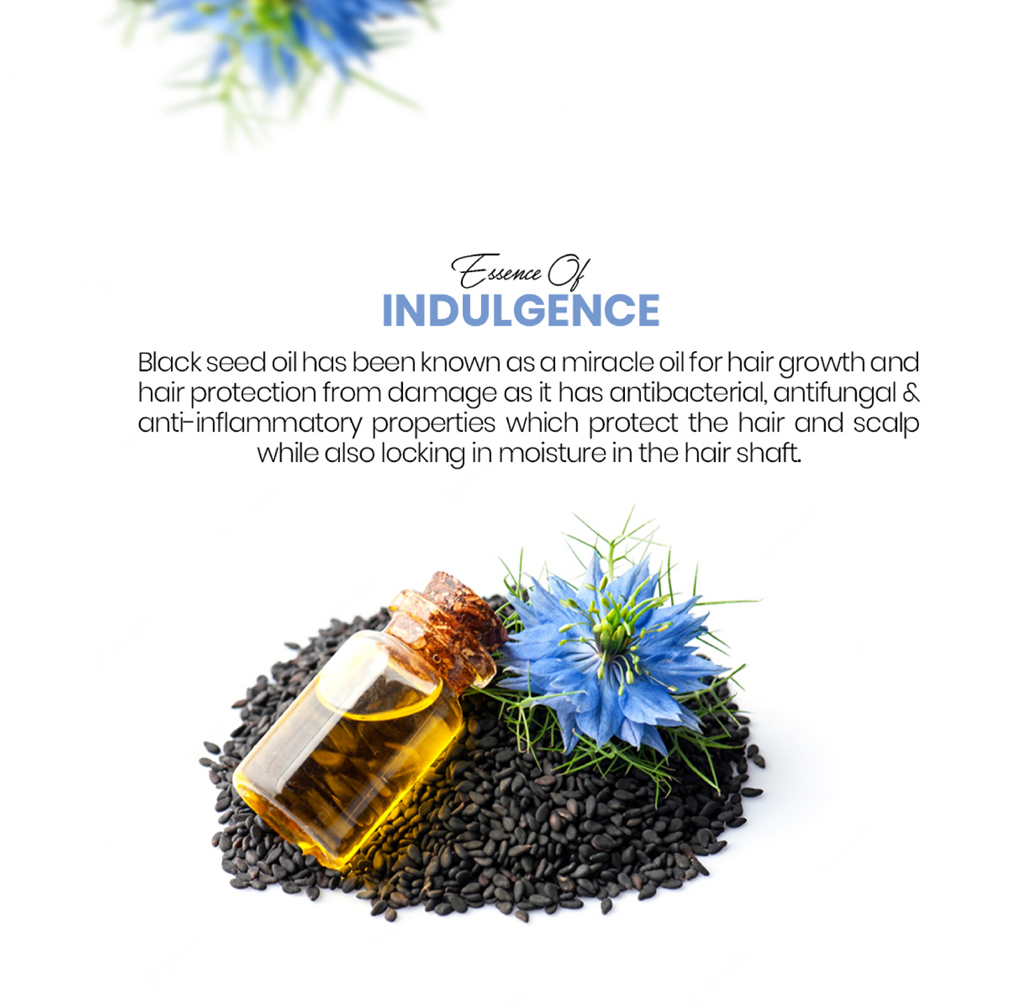 Black Seed Hair Oil with Keratin Oil (100ml)