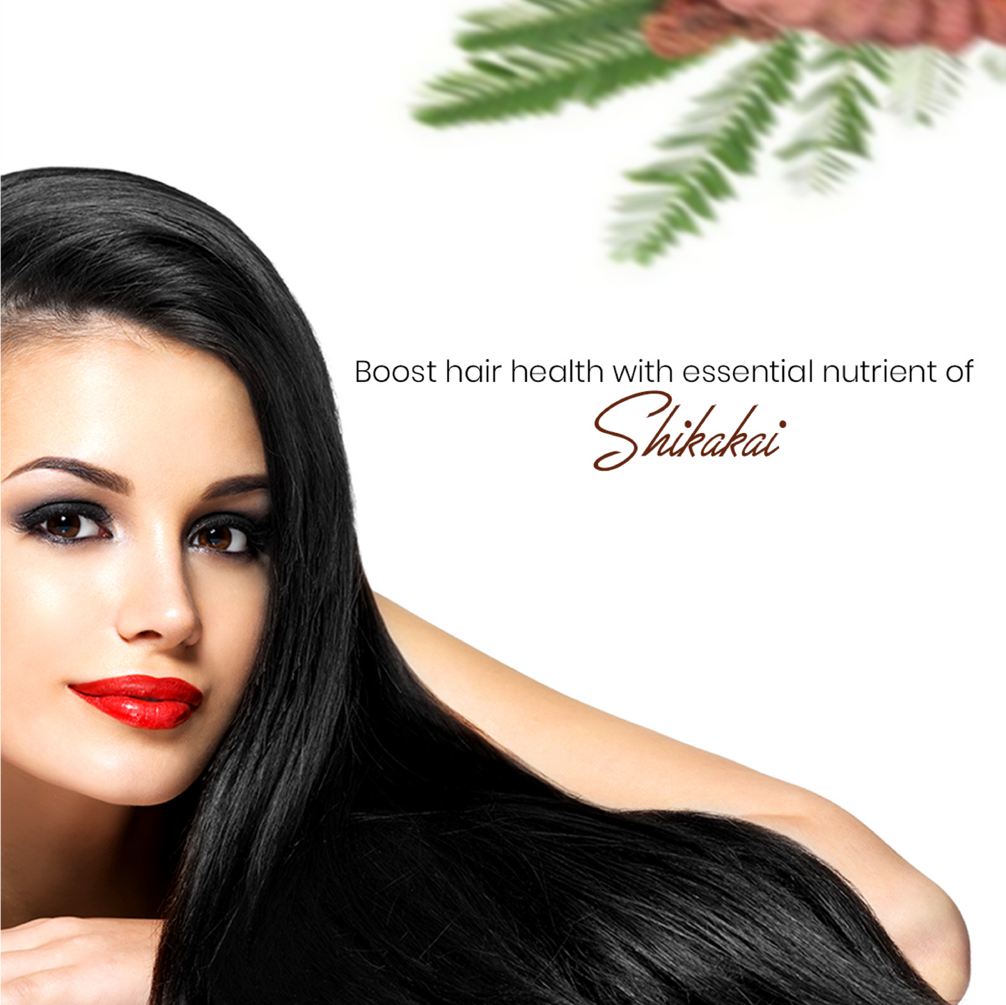 Shikakai Hair Oil with Keratin Oil (100ml)